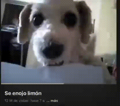 Gif de limón enojado